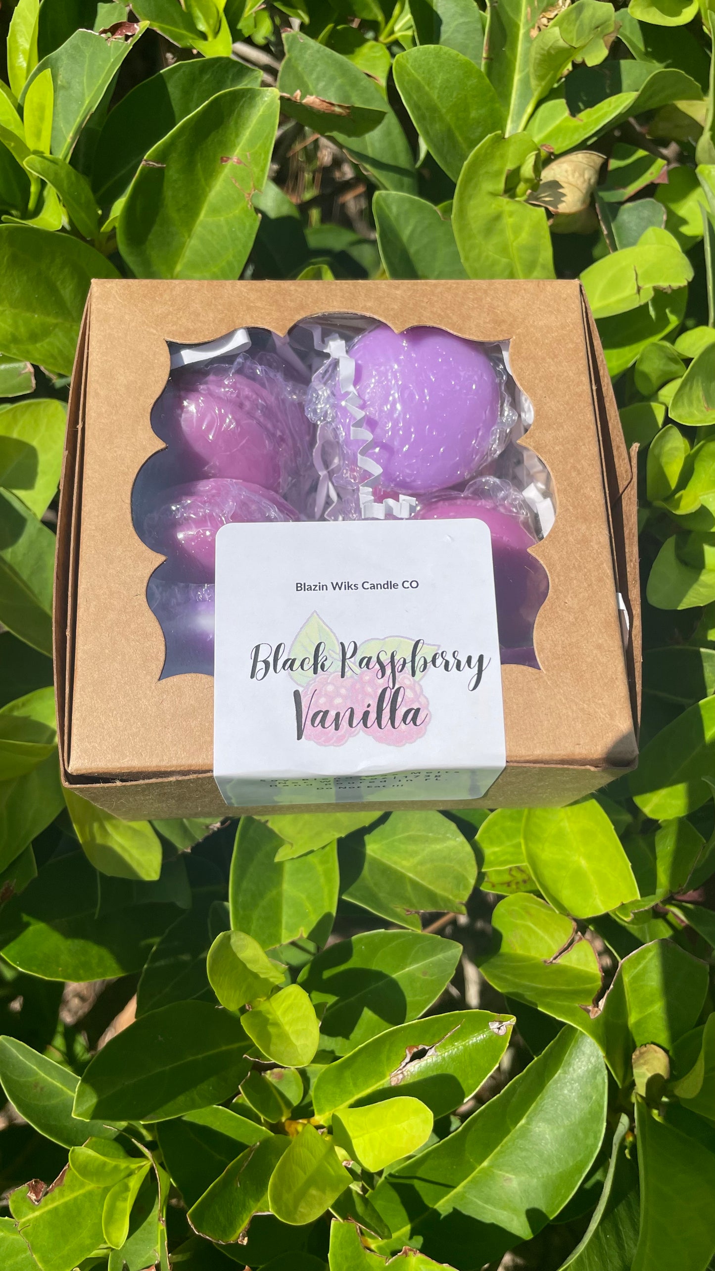 Black Raspberry & Vanilla (Macaron Shaped) Wax melts