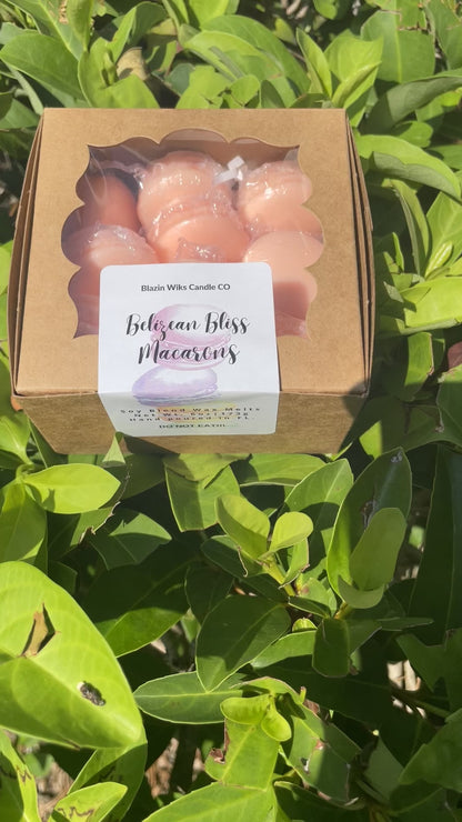 Belizean Bliss (Macaron shaped) Wax Melts